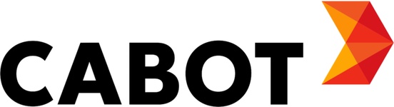 Brand 295