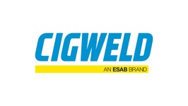 Brand 313